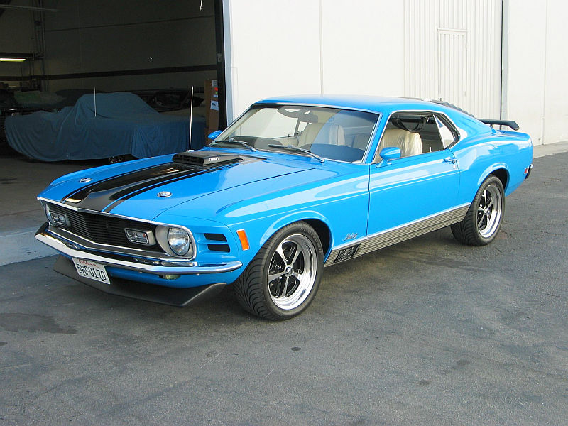 Stallions gate mustang and ford club #8