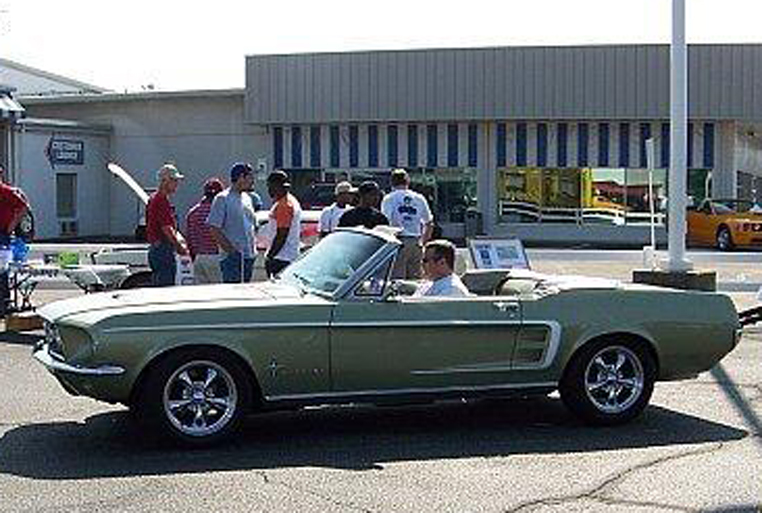 Stallions gate mustang and ford club #3