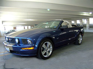 Stallions gate mustang and ford club #6