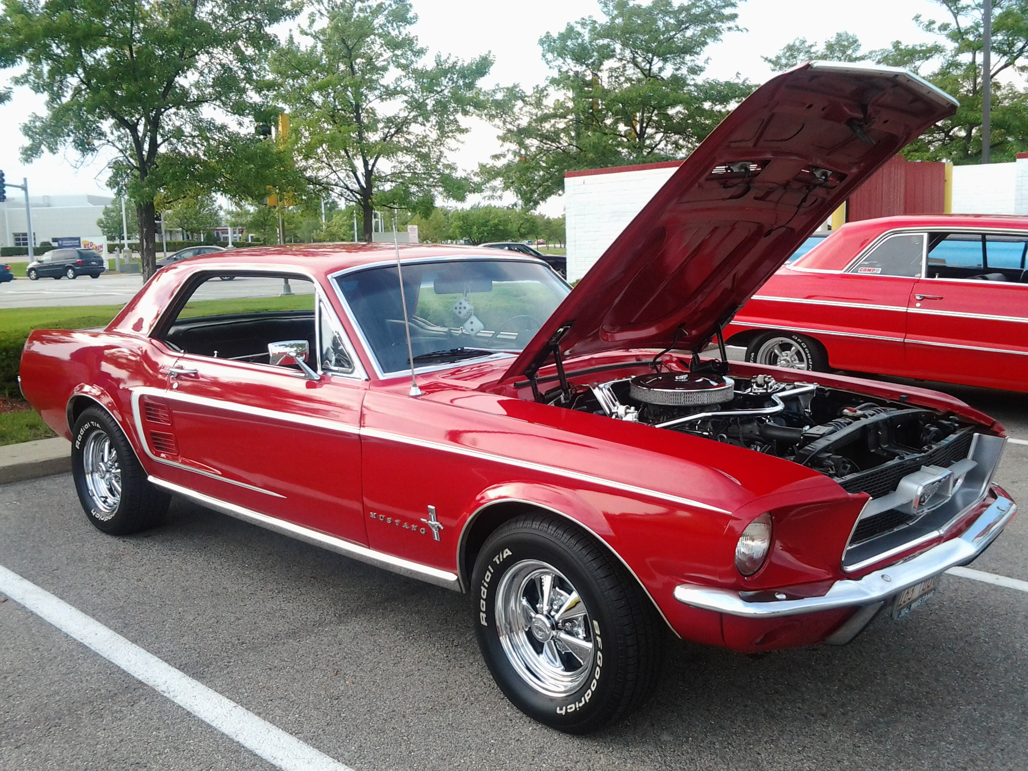 Stallions gate mustang and ford club